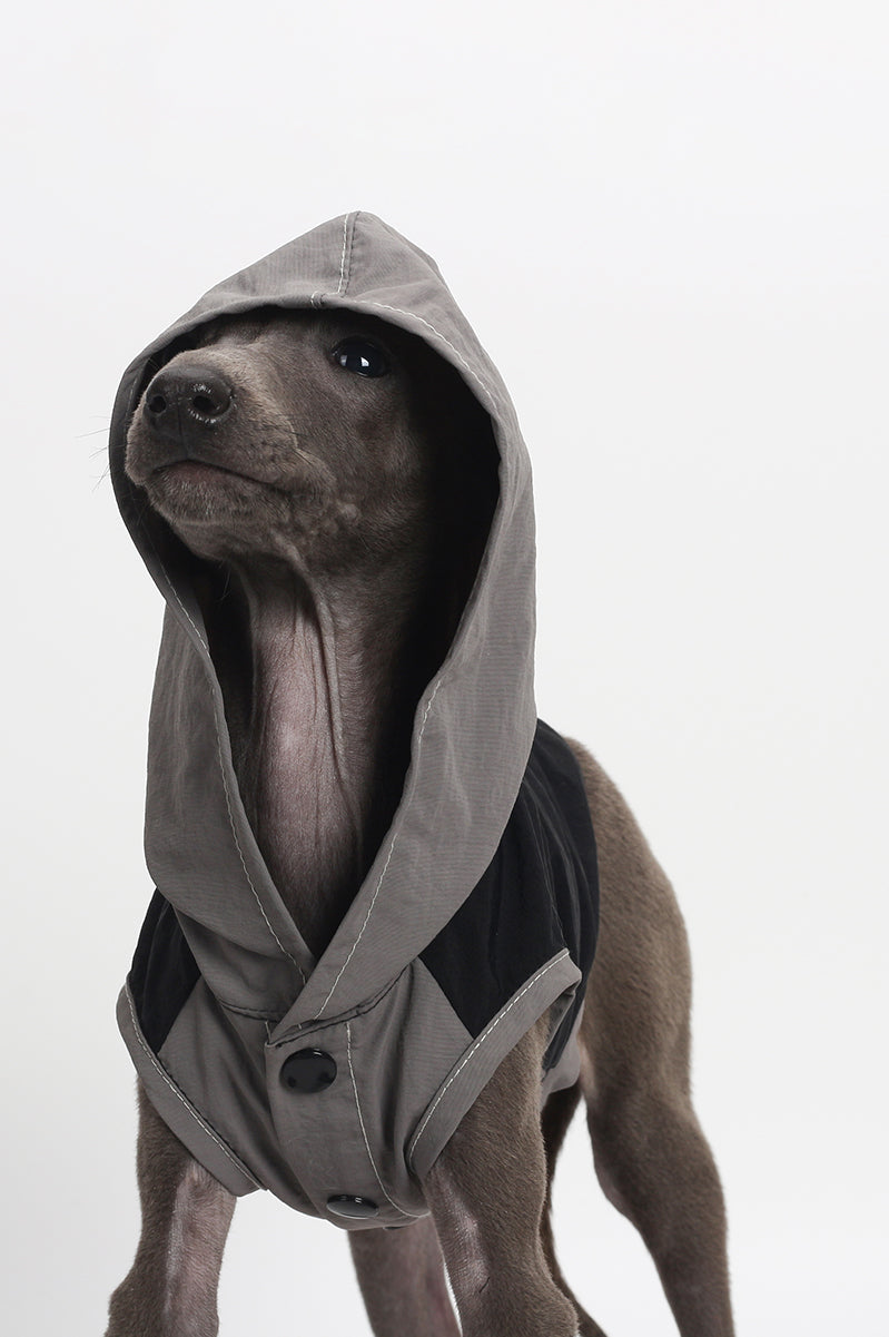 Pet fashion clothing - Off-road Riders-GREY