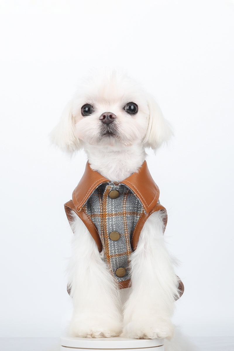 A cappuccino vest