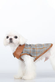 A cappuccino vest
