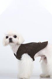 Pet clothing, Mr. St. John