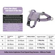 Valley Series Chest and Back (excluding leash)