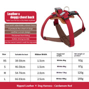 Leather X chest back with free hands towing harness