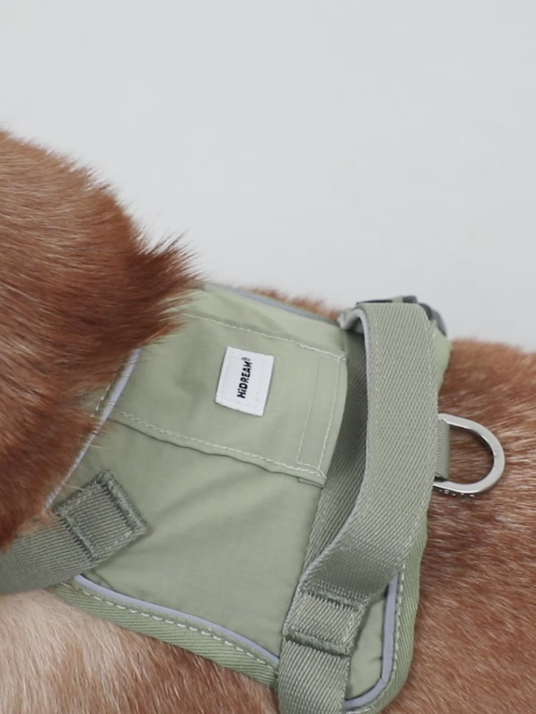 Valley Series Chest and Back (excluding leash)
